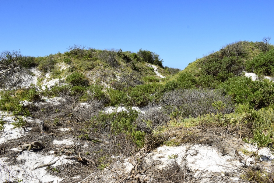 0 Bedroom Property for Sale in Struisbaai Western Cape